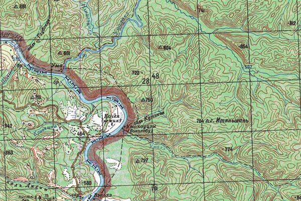 Уменьшенный фрагмент представленной топографической карты N-51-31 - Trasa.ru