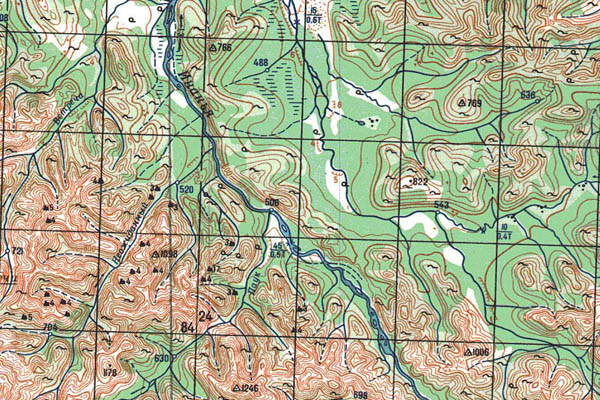 Уменьшенный фрагмент представленной топографической карты P-55-05_06 - Trasa.ru