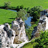 Дивногорье Воронежская область - Trasa.ru