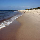 Балтийский берег - безопасный отдых на море