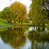 Парк музея-усадьбы Коломенское - Trasa.ru