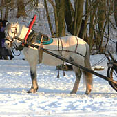 Trasa.Ru - Воскресенский Новоиерусалимский монастырь
