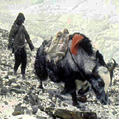 Trasa.Ru - Эверест