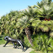 Путешествия по Краснодарскому краю - Trasa.ru