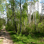 Путешествия по Ростовской области - Trasa.ru