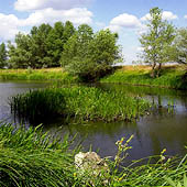 Фотографии Астраханской области - Trasa.ru