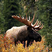 Фотографии Новгородской области - Trasa.ru