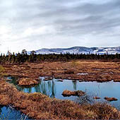 Путешествия по Мурманской области - Trasa.ru