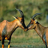 Фотографии Республики Калмыкии  - Trasa.ru