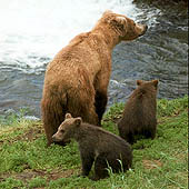 Фотографии Архангельской области - Trasa.ru