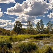 Путешествия по Архангельской области - Trasa.ru