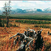 Путешествия по республике Коми - Trasa.ru