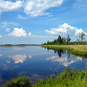 Фотографии Ленинградской области - Trasa.ru