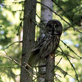 Фотографии Ханты-Мансийского автономного округа - Trasa.ru