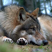 Фотографии Свердловской области - Trasa.ru