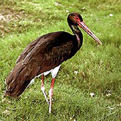 Фотографии Тюменской области - Trasa.ru