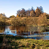 Брянская область - Trasa.ru