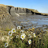 Ямало-Ненецкий автономный округ - Trasa.ru