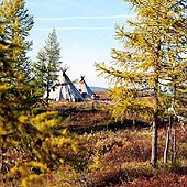 Путешествия по Ямало-Ненецкому автономному округу - Trasa.ru