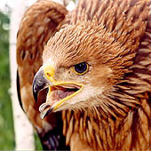 Фотографии Курганской области - Trasa.ru