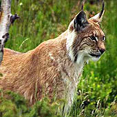 Фотографии республики Татарстан - Trasa.ru