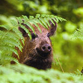 Фотографии Чувашской республики - Trasa.ru