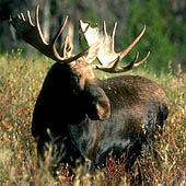 Фотографии Кировской области - Trasa.ru