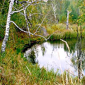 Фотографии Владимирской области - Trasa.ru