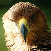 Фотографии Нижегородской области - Trasa.ru