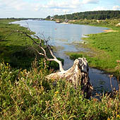 Путешествия по Нижегородской области - Trasa.ru