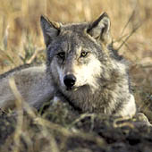 Фотографии Оренбургской области - Trasa.ru