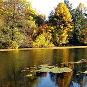 Путешествия по Пензенской области - Trasa.ru