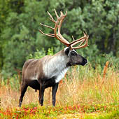 Фотографии Пермского края - Trasa.ru