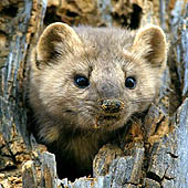 Фотографии Самарской области - Trasa.ru