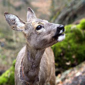 Фотографии Саратовской области - Trasa.ru