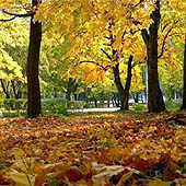 Путешествия по Саратовской области - Trasa.ru