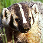 Фотографии Ульяновской области - Trasa.ru