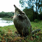 Фотографии Ивановской области - Trasa.ru