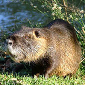 Костромская область - Trasa.ru