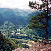 Фотографии Костромской области - Trasa.ru