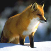 Путешествия по Воронежской области - Trasa.ru