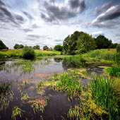 Липецкая область - Trasa.ru