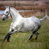 Фотографии Орловской области - Trasa.ru