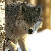 Фотографии Тамбовской области - Trasa.ru