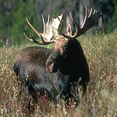 Фотографии Тверской области - Trasa.ru