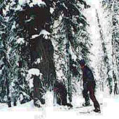 Дима Богатов