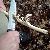 Trasa.Ru - Нож для выживания