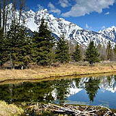 Trasa.Ru - Выживание в автономных условиях