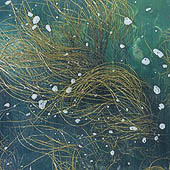 Trasa.Ru - Ешьте водоросли только если у вас достаточно питьевой воды