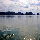 Trasa.Ru - Водоросли на мелкой воде также могут указывать на приближение земли